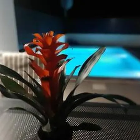 With Private Pool *